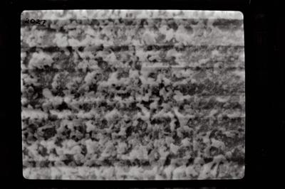 <i><i>Conochitina cribrosa</i></i><br />Ruhnu 500 borehole, 288.15 m, Jaagarahu Stage ( 754-785)