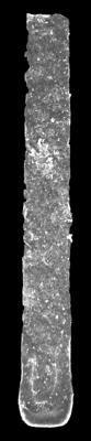 <i><i>Rhabdochitina</i> | Rhabdochitina sp.</i><br />Kolka 54 borehole, 596.90 m, Adavere Stage ( 546-27)
