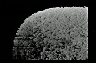 <i><i>Eisenackitina lagenomorpha</i></i><br />Ohesaare borehole, 89.30 m, Paadla Stage ( 754-594)