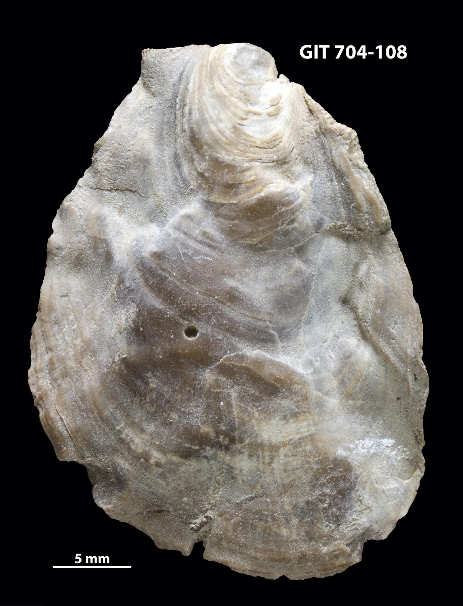 Geylar poyezdga oxshab sikishadi Yetuk ayollar eshagi