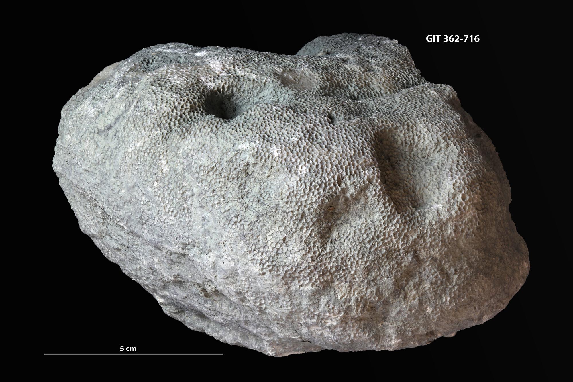 Kam taminlanganlar bilan porno Bir vaqtning ozida ham jinsiy olatni, ham vagina