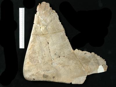 https://files.geocollections.info/large/00/41/0041716f-fb99-4ce8-88ab-7a89f899fd7a.jpg