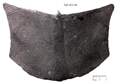 https://files.geocollections.info/large/00/8c/008ca0ef-4cff-4062-b96d-355cbd763fcf.jpg