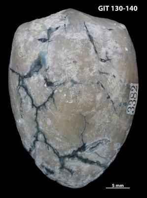 https://files.geocollections.info/large/01/26/01268655-b96c-4baf-927e-ec46cfb1b077.jpg