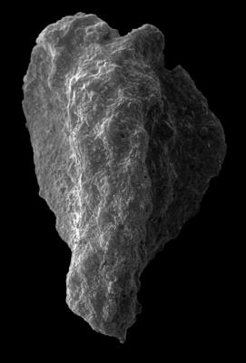 https://files.geocollections.info/large/02/0b/020b6ece-431d-4f45-91cd-06116f57621f.jpg