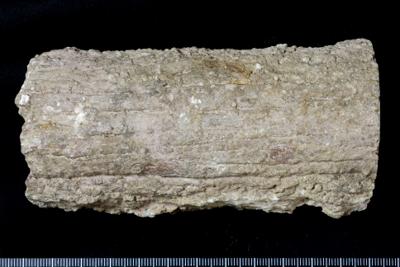https://files.geocollections.info/large/02/6f/026f653b-d525-49e1-8523-bf096ed0f02a.jpg