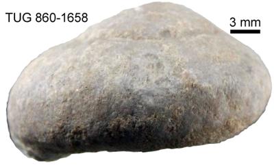 https://files.geocollections.info/large/02/74/027478a2-cbb3-4107-96be-5bf4a0baafc1.jpg