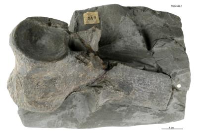 https://files.geocollections.info/large/02/d2/02d25a00-f4ae-49c5-8f57-fa77ed00d05e.jpg