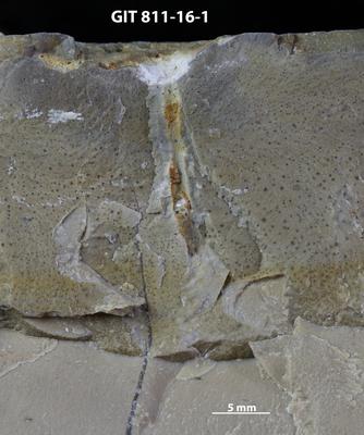 <i></i><br />Sutlema quarry,  m, 