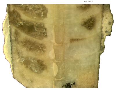 https://files.geocollections.info/large/03/e6/03e652cd-4c30-4361-9b11-6323c1b2b613.jpg