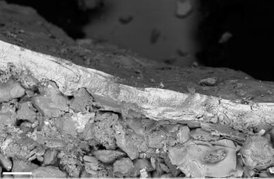 https://files.geocollections.info/large/04/72/0472fb35-2d86-41d3-ad5e-074839f6c201.jpg