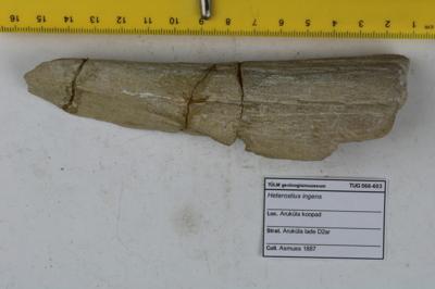 https://files.geocollections.info/large/04/bc/04bcfca0-14c2-4138-bdd4-22c421df51ca.JPG