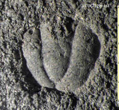 https://files.geocollections.info/large/04/eb/04eb2958-33ba-4b2f-ac07-0cb3a83bbfb9.jpg
