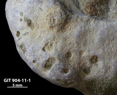 <i></i><br />Rööpli Cliff, Kõinastu,  m, Adavere Stage