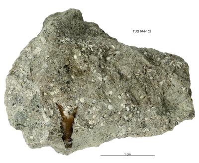 https://files.geocollections.info/large/05/e4/05e4f5b2-26d4-4108-b87e-69411dba3f96.jpg