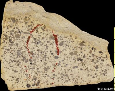https://files.geocollections.info/large/06/55/06557ebc-9735-4215-a139-626a00b397f9.jpg
