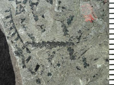 https://files.geocollections.info/large/06/9e/069eb549-d4c2-46dc-b4b6-5747e5f09676.jpg