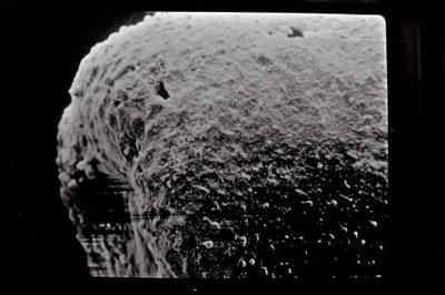 <i><i>Belonechitina postrobusta</i> | Conochitina cf. postrobusta</i><br />Häädemeeste 172 borehole, 400.00 m, Juuru Stage (754-713)