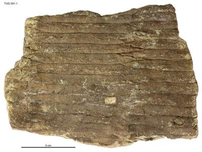 https://files.geocollections.info/large/07/66/076639f6-cb85-45be-8a86-13ea19f96ac9.jpg