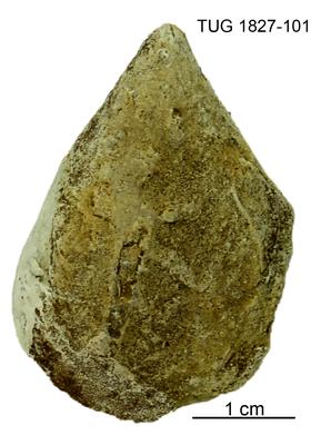 https://files.geocollections.info/large/07/ce/07ce9259-d616-4a7c-be18-b2967415f416.jpg