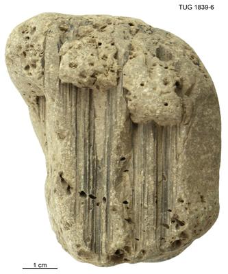 https://files.geocollections.info/large/07/e4/07e4bd10-13ef-4c00-a328-5b3aca0e7ca9.jpg