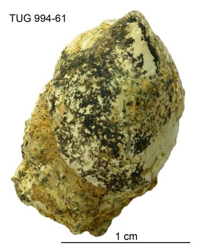 https://files.geocollections.info/large/08/1a/081a1c53-325d-4016-932d-60898e73167d.jpg