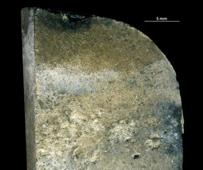 <i>Trypanites isp.</i><br />,  m, Furongian