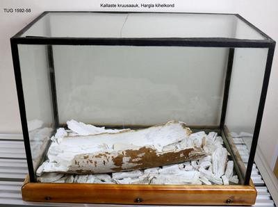 https://files.geocollections.info/large/08/df/08df6664-de5f-4a52-a5ac-9a8d353c9771.jpg