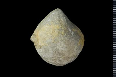 https://files.geocollections.info/large/09/70/0970d8b9-e953-4857-8e5d-9528c3a73963.jpg