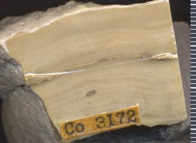 https://files.geocollections.info/large/09/c5/09c5bc9f-909f-4995-ab8c-794cd7aaffdd.jpg