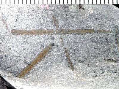 https://files.geocollections.info/large/0a/22/0a22c466-7073-462c-b216-f48cbac3b072.jpg