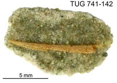 https://files.geocollections.info/large/0a/94/0a941528-e2d4-4131-885e-9faa8221d40a.jpg