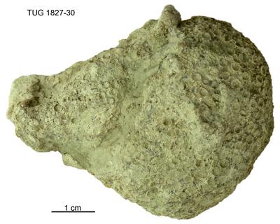 https://files.geocollections.info/large/0a/97/0a97cb0c-b40a-454b-9644-bee8e62a0029.jpg
