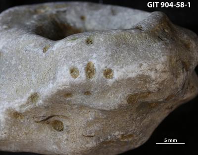 <i></i><br />Kõinastu islet,  m, Adavere Stage