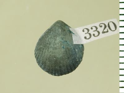 https://files.geocollections.info/large/0b/0d/0b0d70aa-ebca-4527-81fa-5742f521745e.jpg