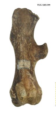 https://files.geocollections.info/large/0b/25/0b251679-ac31-4a68-bbf3-4c7180f3c754.jpg