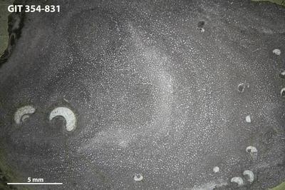 https://files.geocollections.info/large/0b/4b/0b4b89ca-6a4e-481e-afab-07480687fd30.jpg