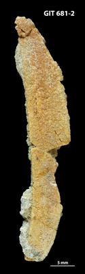 https://files.geocollections.info/large/0b/ad/0bade83f-0122-48cb-9f05-c8793bc71e0b.jpg