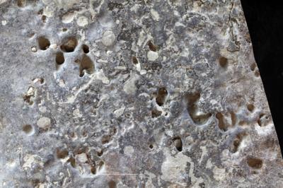 <i></i><br />Saxby shore,  m, Vormsi Stage