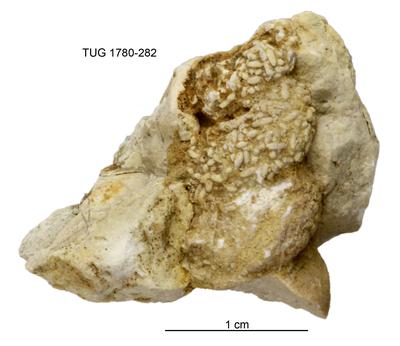 https://files.geocollections.info/large/0c/03/0c031f66-24a3-4c02-bffa-be2ab6b686b0.jpg