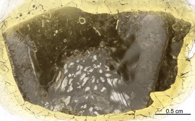 https://files.geocollections.info/large/0c/b0/0cb029c7-796f-40a9-9e81-402faeafe9b0.jpg