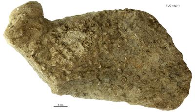 https://files.geocollections.info/large/0d/2c/0d2c13ad-7154-4ecf-9c39-576c2c531970.jpg