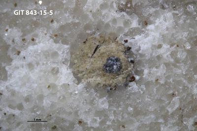 <i></i><br />Saxby shore,  m, Vormsi Stage