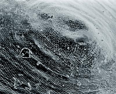 https://files.geocollections.info/large/0e/23/0e232a07-9318-4e5a-9d5c-5dc56658ad46.jpg