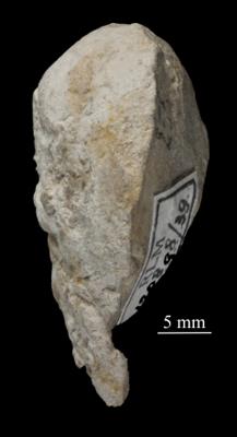 https://files.geocollections.info/large/0e/2c/0e2cd166-31d2-4430-b805-62c995519e5e.jpg
