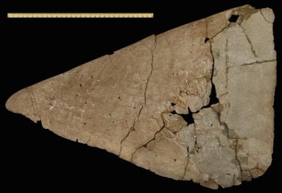 https://files.geocollections.info/large/0e/6f/0e6ff13d-b630-46cd-a200-e927a5040045.jpg