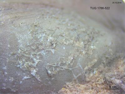 https://files.geocollections.info/large/0e/aa/0eaab9fa-90b0-4431-8932-1720b3219c67.jpg