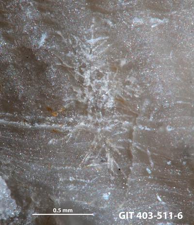 <i></i><br />Ohesaare cliff,  m, Ohesaare Stage