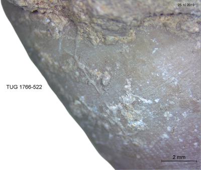 https://files.geocollections.info/large/0f/1d/0f1d105a-04c9-4e27-9cc3-fe44e7315a73.jpg