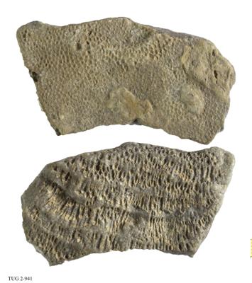 https://files.geocollections.info/large/0f/33/0f33d0cb-2ee5-4b00-9445-843a180db8ab.jpg
